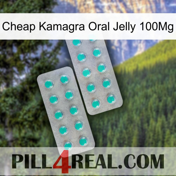 Cheap Kamagra Oral Jelly 100Mg 29.jpg